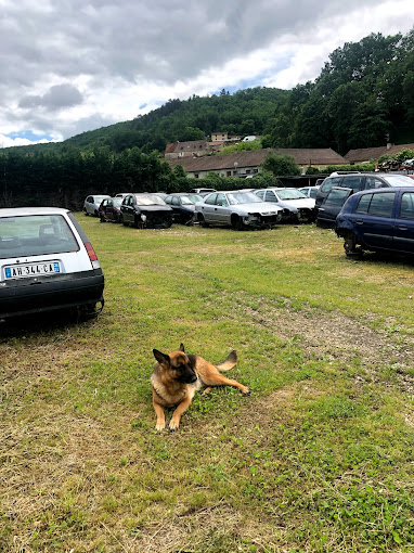 Aperçu des activités de la casse automobile OCCAZ AUTOS PIECES située à ALLAS-LES-MINES (24220)